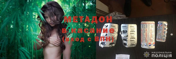 индика Арсеньев