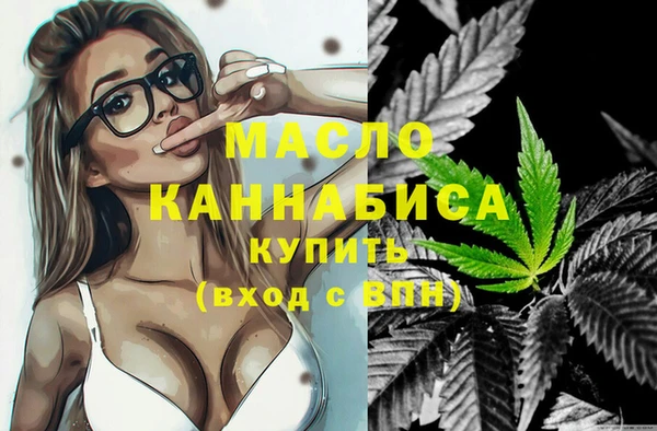 индика Арсеньев