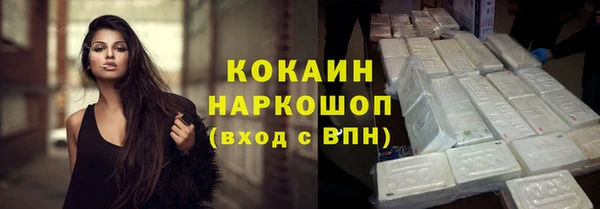 индика Арсеньев