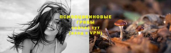 мяу мяу мука Аркадак