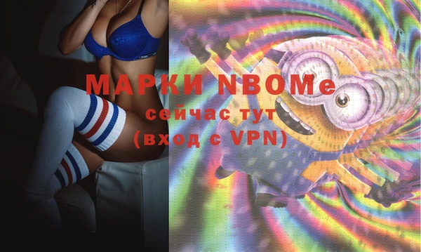 индика Арсеньев