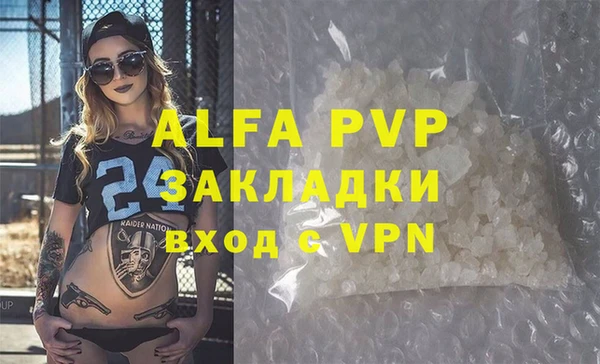 индика Арсеньев