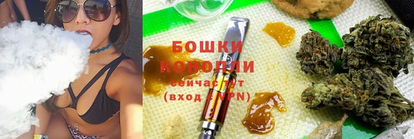индика Арсеньев